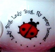 Lady Bug Tea Set for 4 w/Basket